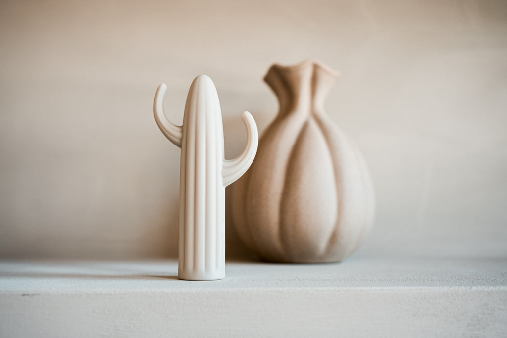Vibrator Cactus