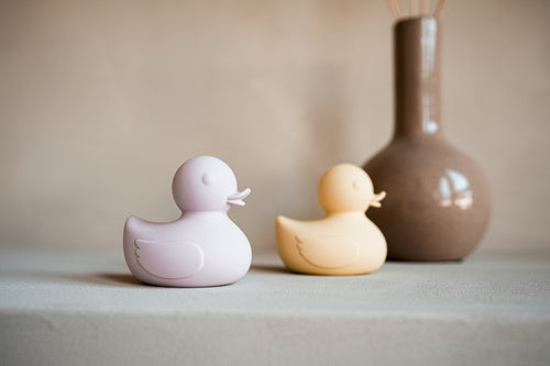 Ducky Daydream
